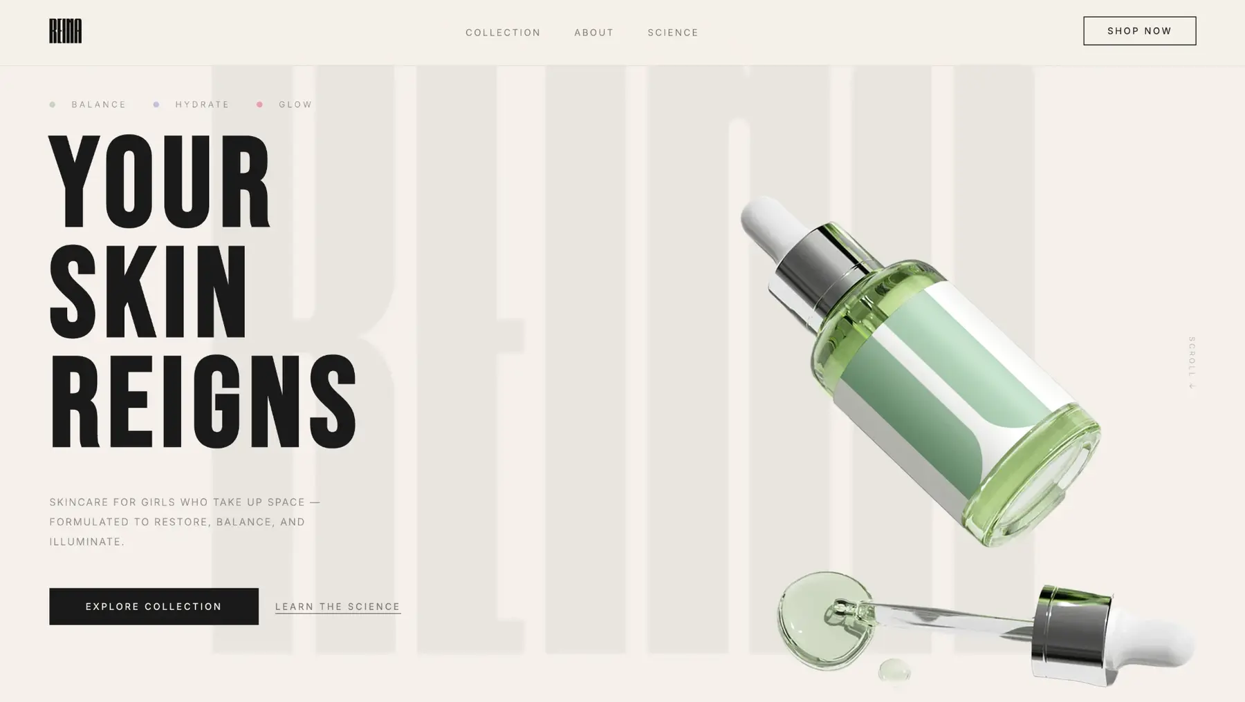 REINA website art direction